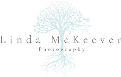 Linda McKeever Photography